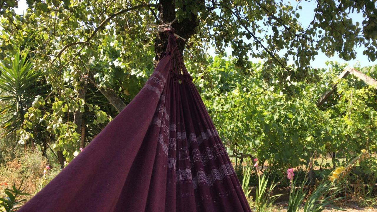 Dds-Dominio Das Sem&Ntes Vouzela Exterior foto